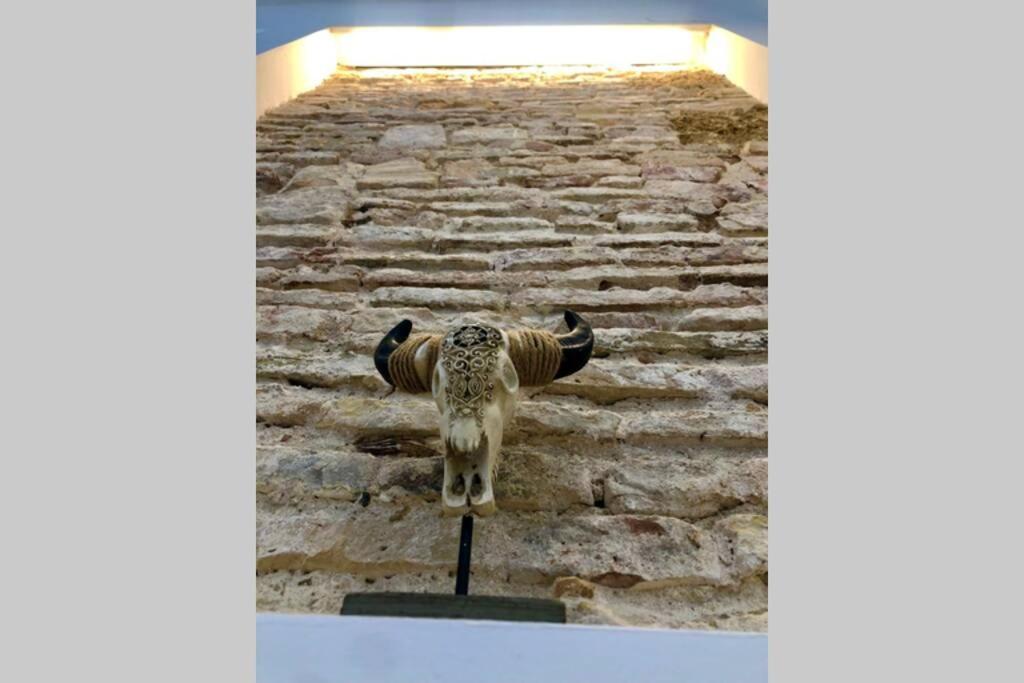 Gatu Premium Villa Libertad, Preferente Mayores De 25 Anos Y Familias Cádiz Exterior foto